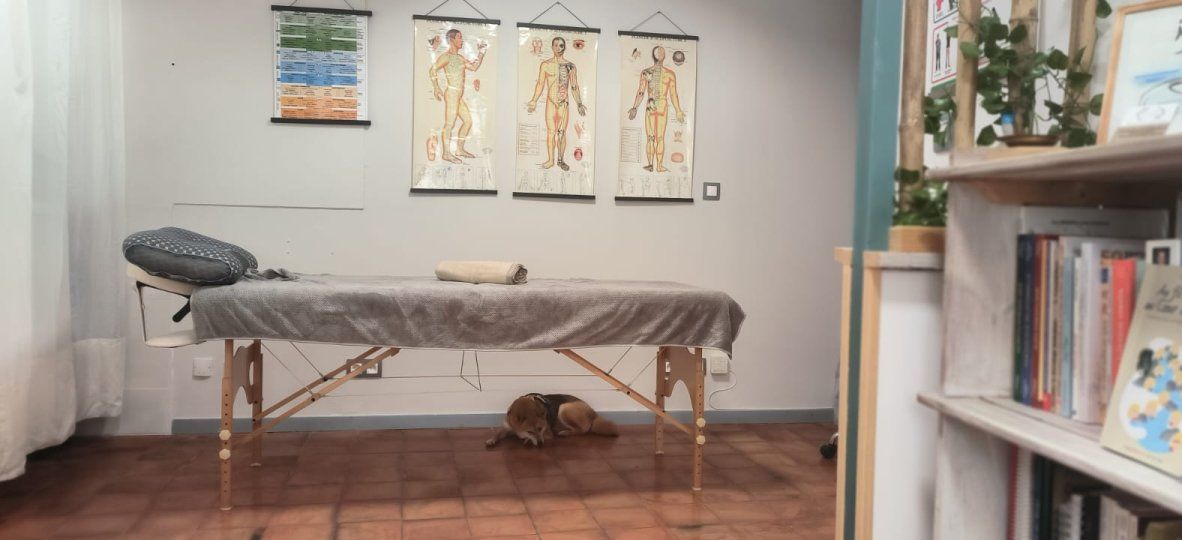 cabinet Copo Kinesiologie La Ciotat 